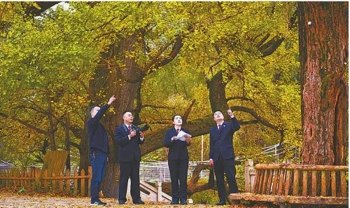 多彩分界線上的“宛美”畫卷